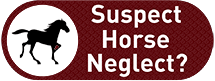 Suspect Horse Neglect?
